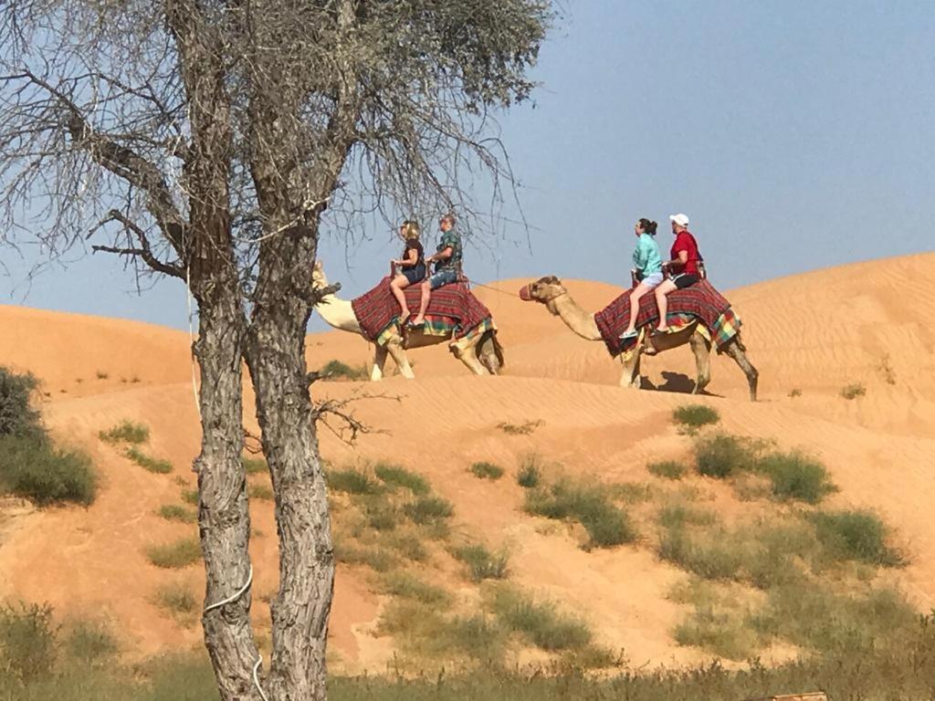The Dunes Camping & Safari Rak Ρας Αλ Χαιμά Εξωτερικό φωτογραφία